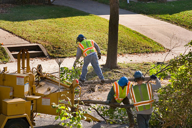 Reliable Fort Dix, NJ Tree Removal and Landscaping Services Solutions